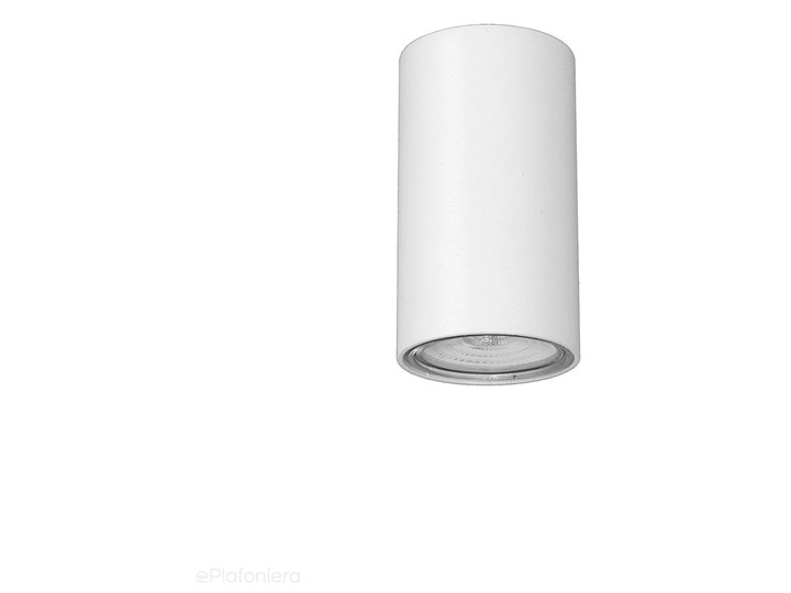 Lampa sufitowa natynkowa LED - biała tuba 1xGU10, Aldex (Ares) 1043PL/G