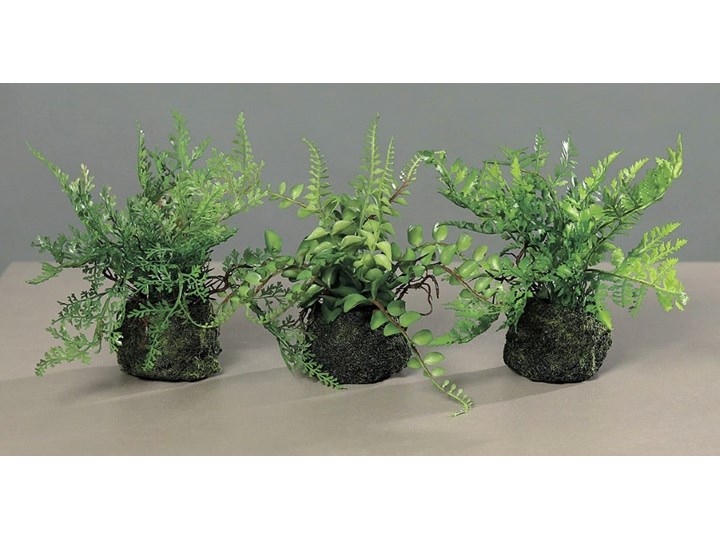 Sztuczne Miniaturowe Paprotki 19 cm - Mix 3 szt Doniczkowe Kategoria Sztuczne kwiaty