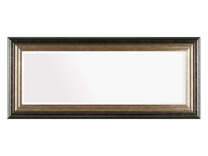 Lustro Romane 46x107cm, 46 × 107 cm Ścienne Prostokątne Lustro z ramą Styl Klasyczny