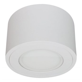 PP P 220 WH PLAFON NOWOCZESNA LAMPA SUFITOWA OPRAWA NATYNKOWA 16 CM ALUMINIUM BIAŁY ES111 LED HERMETYCZNA