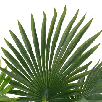 vidaXL Sztuczna palma z doniczką, zielony, 70 cm