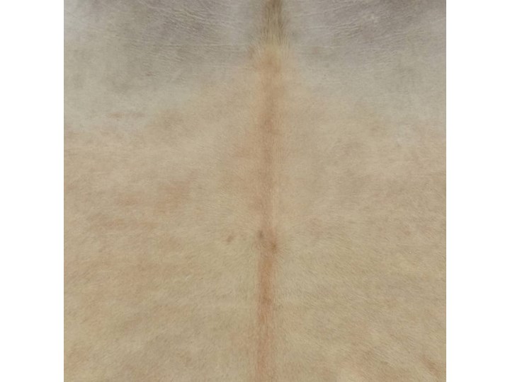 vidaXL Dywan z bydlęcej skóry, 150 x 170 cm, beżowy Dywany 150x170 cm Kolor Szary Skóra Nieregularny Pomieszczenie Przedpokój