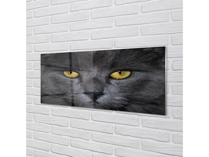 Obrazy akrylowe Czarny kot Pomieszczenie Salon Wymiary 70x140 cm