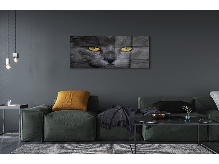 Obrazy akrylowe Czarny kot Pomieszczenie Salon Wymiary 50x125 cm