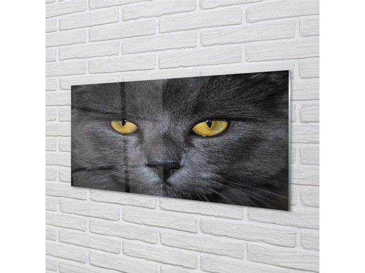 Obrazy akrylowe Czarny kot Wymiary 50x125 cm