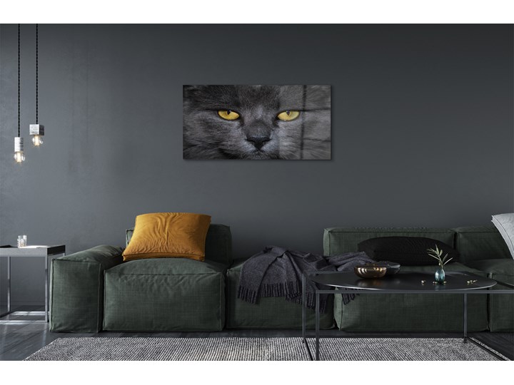 Obrazy akrylowe Czarny kot Wymiary 50x100 cm