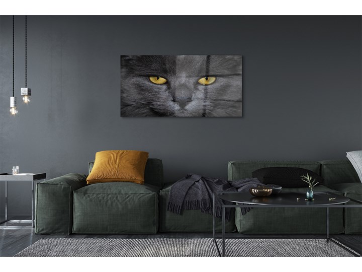 Obrazy akrylowe Czarny kot Wymiary 60x120 cm Wymiary 50x125 cm