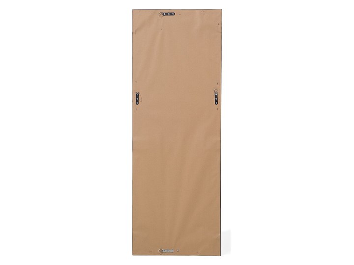 Lustro ścienne wiszące złote 51 x 141 cm ozdobna postarzana rama salon sypialnia styl klasyczny francuski Kolor Złoty Lustro z ramą Prostokątne Styl Vintage