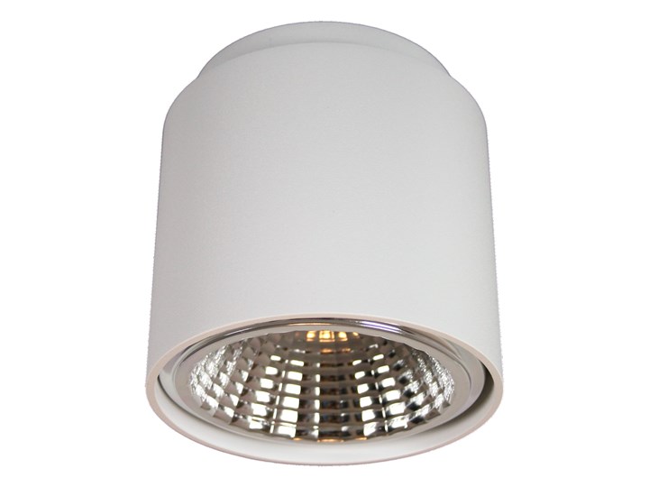 Varmant oprawa Tori biały mat 02212-01 Oprawa led Oprawa stropowa Okrągłe Kategoria Oprawy oświetleniowe