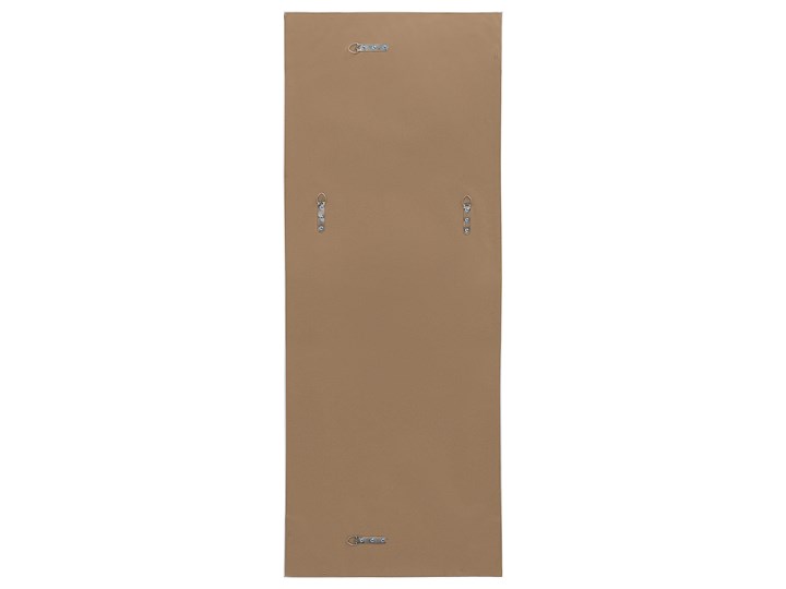 Lustro ścienne wiszące złote 50 x 130 cm dekoracyjne Prostokątne Lustro z ramą Pomieszczenie Przedpokój