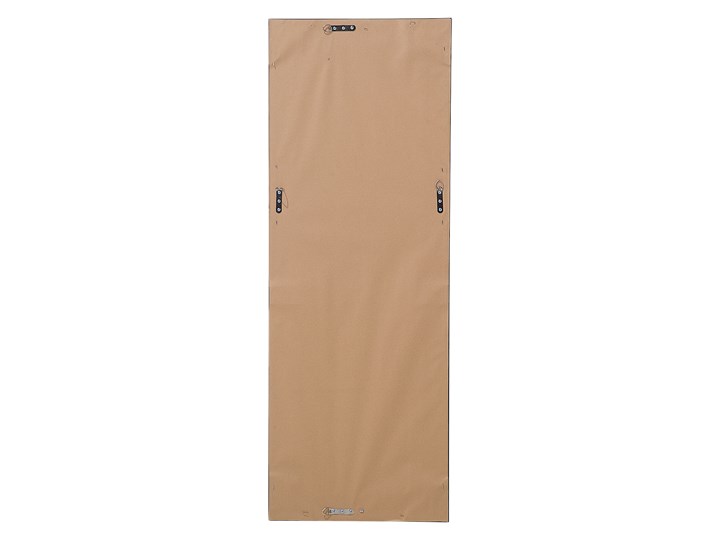Lustro ścienne wiszące złote 51 x 141 cm ozdobna postarzana rama salon sypialnia styl klasyczny francuski Lustro z ramą Prostokątne Kolor Złoty