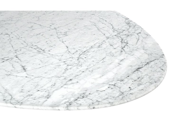 Stół eksluzywny marmurowy MARBLE CARRARA biały Stal Długość 200 cm Kamień Wysokość 73 cm Kształt blatu Owalny