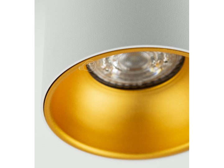 Punktowa oprawa sufitowa natynkowa ZAMA White Gold GU10 okrągła biała, środek złoty IP20 EDO777342 EDO Oprawa stropowa Okrągłe Kolor Biały