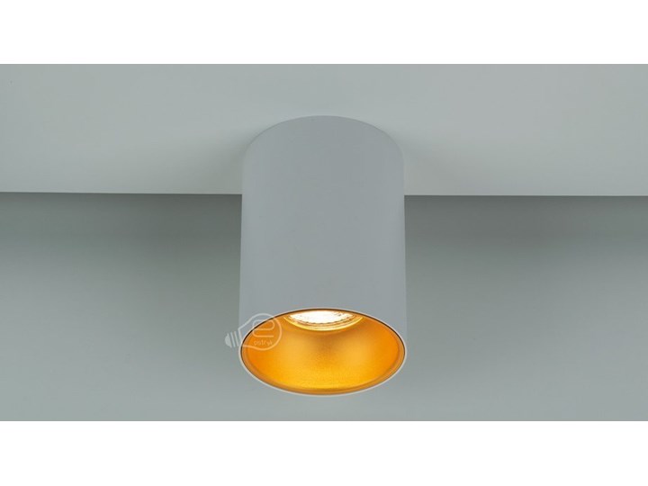 Punktowa oprawa sufitowa natynkowa ZAMA White Gold GU10 okrągła biała, środek złoty IP20 EDO777342 EDO Okrągłe Oprawa stropowa Kolor Biały Kategoria Oprawy oświetleniowe