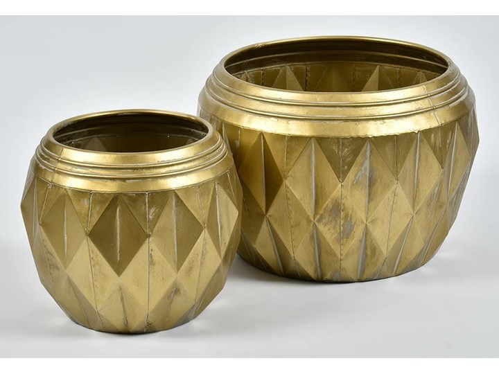 Donica goldline L