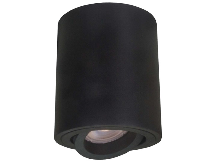 LAMPA sufitowa TULON LP-5441/1SM WH Light prestige metalowa OPRAWA tuba regulowany downlight biała Oprawa stropowa Oprawa led Okrągłe Kolor Biały
