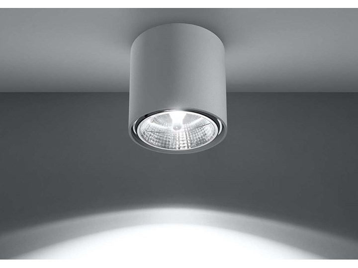 Spot LAMPA sufitowa SOL SL695 metalowa OPRAWA downlight natynkowa tuba biała Oprawa led Okrągłe Kategoria Oprawy oświetleniowe Oprawa stropowa Kolor Biały