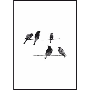 Plakat birds on wire