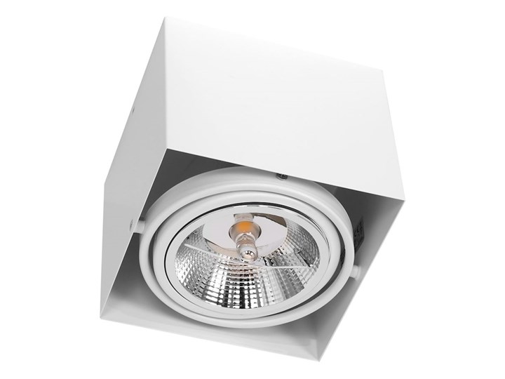 Oprawa natynkowa Plaza 1xGU10 AR111 biała