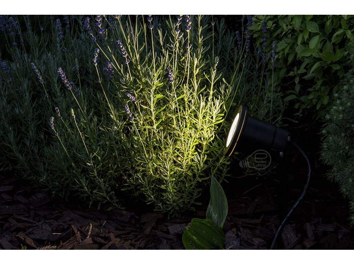 Reflektor ogrodowy wbijany do ziemi lampka do LED HORTUS GU10 IP65 czarny EDO777112 Garden Line EDO Lampa LED Kategoria Lampy ogrodowe