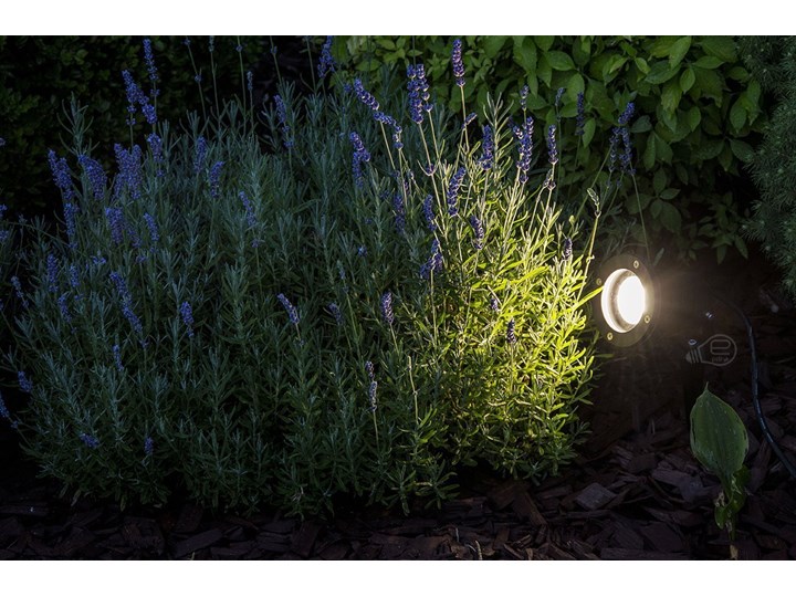 Reflektor ogrodowy wbijany do ziemi lampka do LED HORTUS GU10 IP65 czarny EDO777112 Garden Line EDO Lampa LED Kategoria Lampy ogrodowe