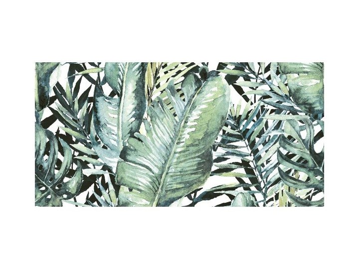 Dekor Nature Jungle Ceramstic 30 x 60 cm Płytki ścienne Płytka dekoracyjna Płytki łazienkowe 30x60 cm Kafle Płytki kuchenne Prostokąt Powierzchnia Polerowana
