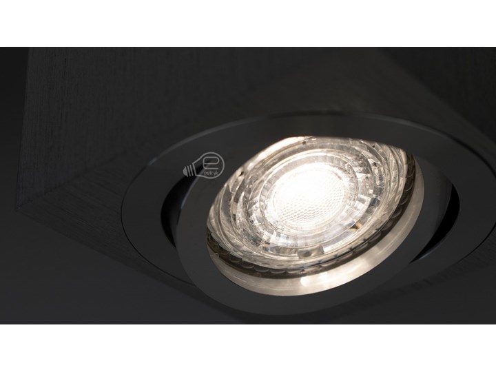 Punktowa oprawa sufitowa natynkowa regulowana PALDA GU10 kwadratowa, aluminium, srebrny szlif IP20 EDO777341 EDO Kwadratowe Oprawa stropowa Kategoria Oprawy oświetleniowe