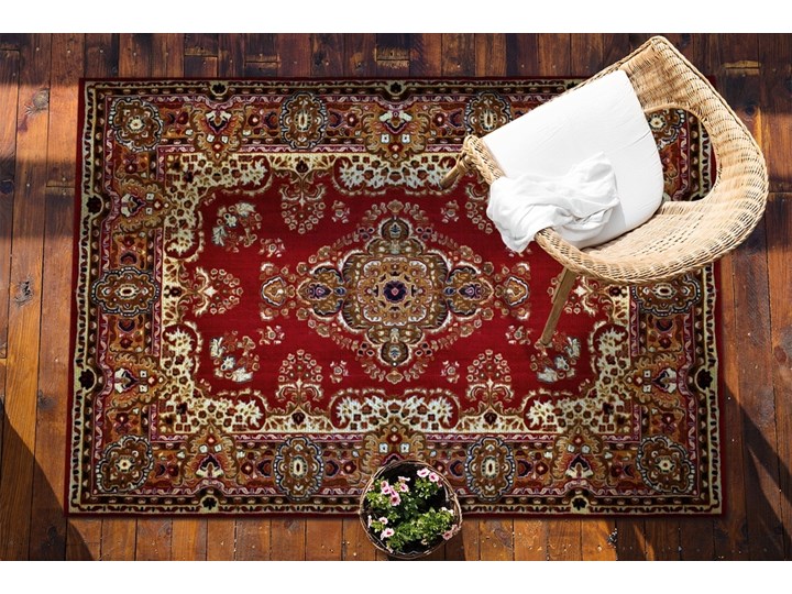 Piękny dywan ogrodowy Piękne detale perski design Prostokątny Winyl 80x120 cm 60x90 cm Dywany Kolor Czerwony