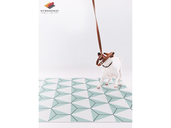 Uniwersalny dywan winylowy Akwarelowe hexagony Kategoria Dywany 80x120 cm 60x90 cm Dywany Kolor Biały