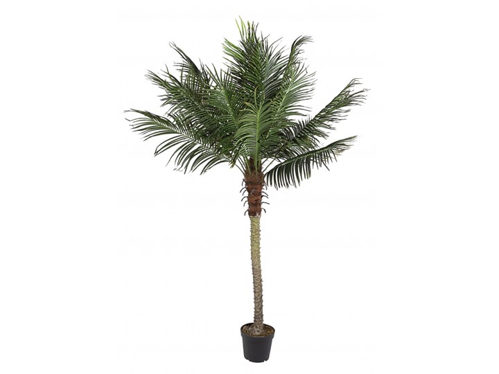 Palma H210, sztuczna roślina do domu Doniczkowe Kategoria Sztuczne kwiaty