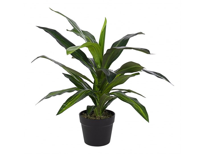 Dracena sztuczny kwiat do salonu H65 Kategoria Sztuczne kwiaty