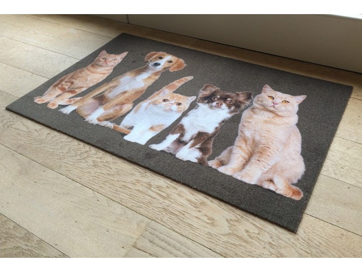 Wycieraczka Deco Star Kumple 50 cm x 80 cm Tworzywo sztuczne Kategoria Wycieraczki