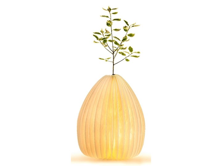 Lampa stołowa i wazon w jednym Gingko Walnut Wysokość 22 cm Lampa z kloszem Kategoria Lampy stołowe