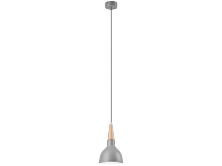 FRANCESCA lampa wisząca 1-punktowa srebrna Lampa z kloszem Pomieszczenie Przedpokój Metal Pomieszczenie Salon
