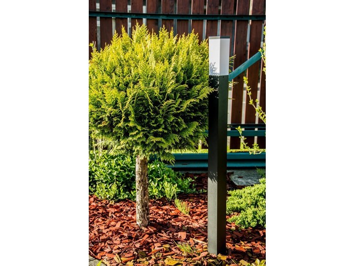 Słupek ogrodowy TULIS 100 E27 czarny IP44 Garden Line EDO777389 EDO Lampa stojąca Kategoria Lampy ogrodowe