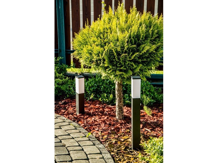 Słupek ogrodowy TULIS 40 E27 czarny IP44 Garden Line EDO777385 EDO Kategoria Lampy ogrodowe