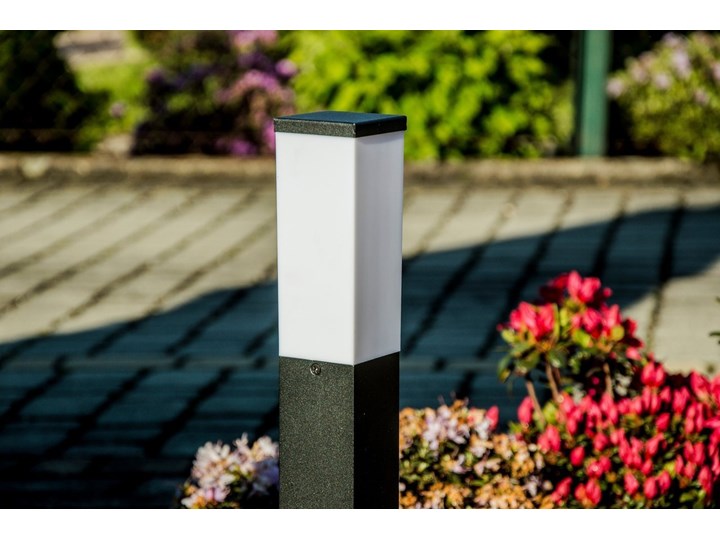 Słupek ogrodowy TULIS 40 E27 czarny IP44 Garden Line EDO777385 EDO Kategoria Lampy ogrodowe
