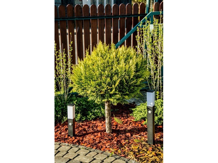 Słupek ogrodowy TULIS 60 PIR z czujnikiem ruchu, E27 czarny IP44 Garden Line EDO777388 EDO Kategoria Lampy ogrodowe