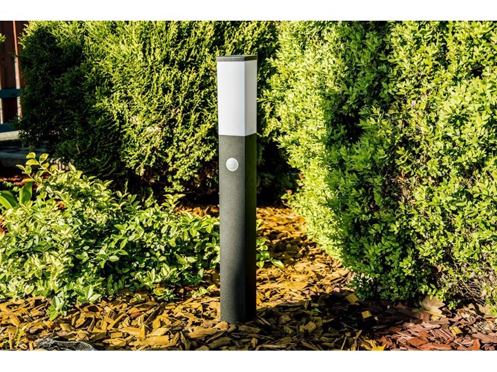 Słupek ogrodowy TULIS 60 PIR z czujnikiem ruchu, E27 czarny IP44 Garden Line EDO777388 EDO Kategoria Lampy ogrodowe