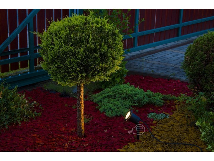 Reflektor ogrodowy wbijany do ziemi lampka do LED HORTUS GU10 IP65 czarny EDO777112 Garden Line EDO Lampa LED Kategoria Lampy ogrodowe