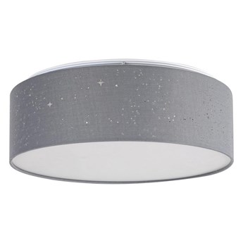 Rabalux - LED Lampa sufitowa LED/22W/230V szara
