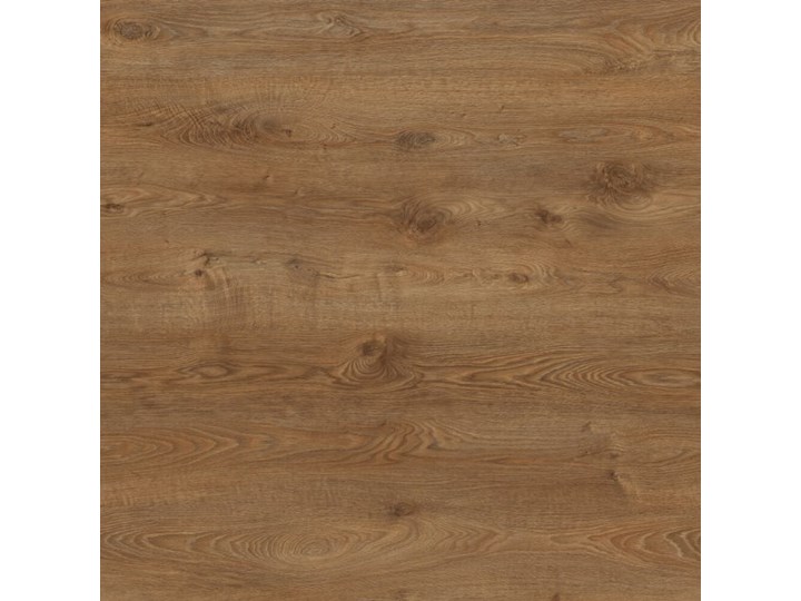 Panele podłogowe WILD WOOD EFFECT PREMIUM ALTAY AC5 12 mm