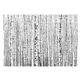 Tapeta wielkoformatowa Artgeist Birch Forest, 200x140 cm