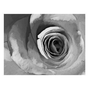 Tapeta wielkoformatowa Artgeist Paper Rose, 400x309 cm