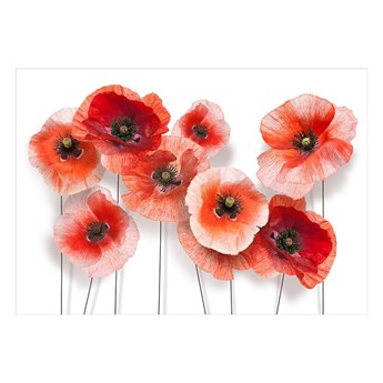 Tapeta wielkoformatowa Artgeist Nine Poppies, 200x140 cm