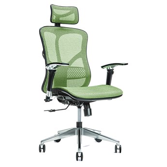 Fotel biurowy Ergo 500, mesh zielony