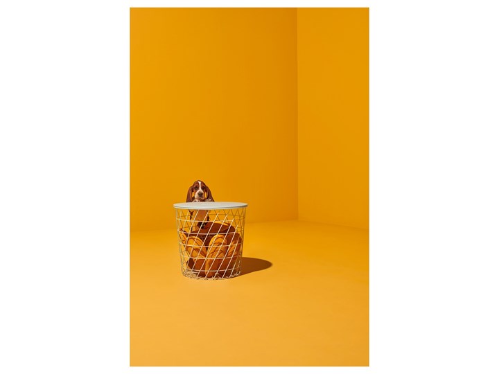 IKEA KVISTBRO Stolik z miejscem do przechowywania, Biały, 44 cm Rozmiar blatu 44x44 cm Stal Płyta MDF Metal Wysokość 42 cm Kategoria Stoliki i ławy