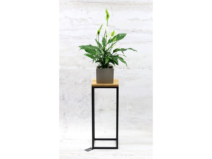 Kwietnik Metalowy Stojak Drewno TAVOLO 60cm czarny loft KWL-170/01 Kategoria Doniczki i kwietniki