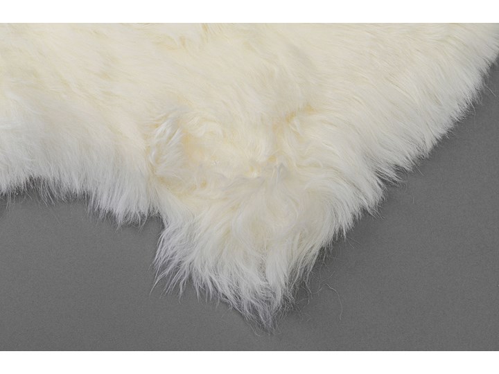 Dywan - skóra owcza Heidi 85x65 cm biała Nieregularny Skóry Dywany Kategoria Dywany