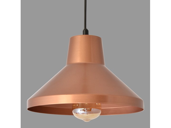 Lampa wisząca TRINITY W-KM 1805/1 BK-B+RG Lampa z kloszem Metal Pomieszczenie Jadalnia Tworzywo sztuczne Kategoria Lampy wiszące